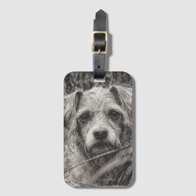 Fotografi av grumlig svartvitt och vit Porträtt Bagagebricka (Framsida vertikal)