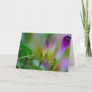 Fotografi av hälsningskort på morgon Glory Art Kort