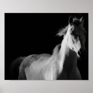 Fotografi av häst, bra konst poster