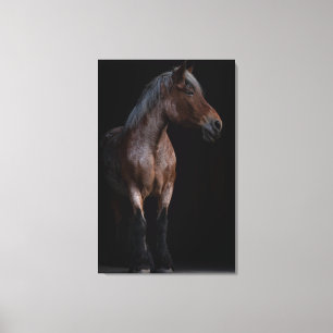 Fotografi av häst canvastryck