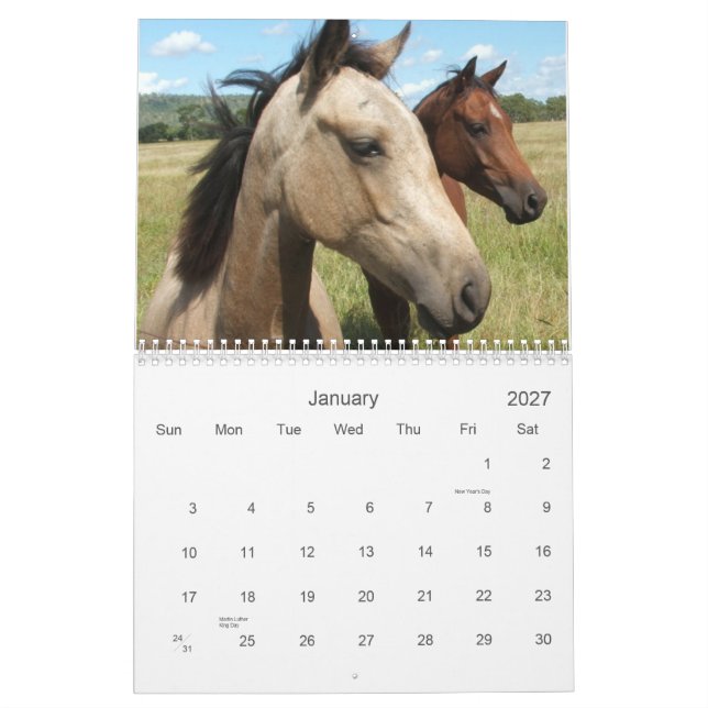 Fotografi av hästar kalender (Jan 2027)