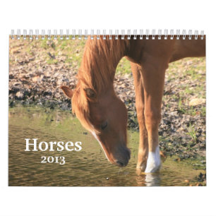 Fotografi av hästar kalender