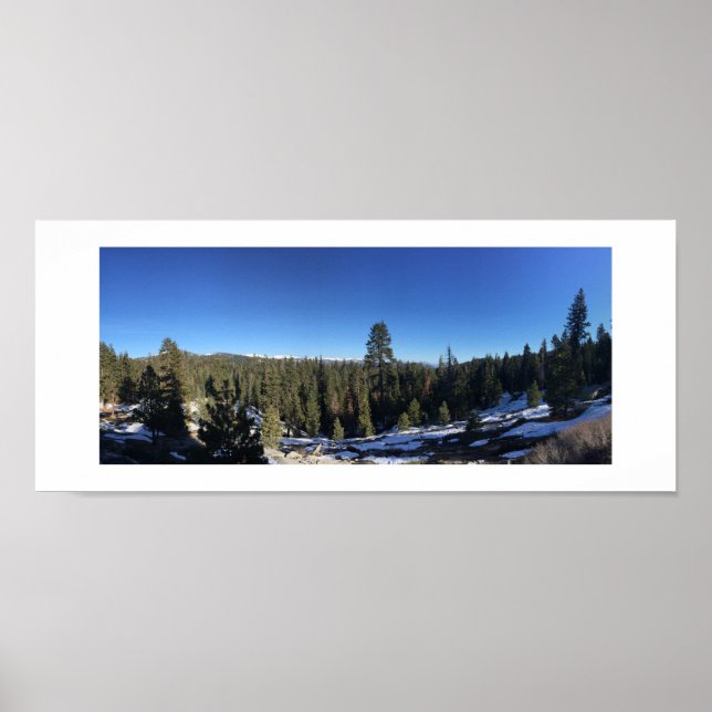 Fotografi av isig Forest Panoramic Färg Poster (Framsidan)