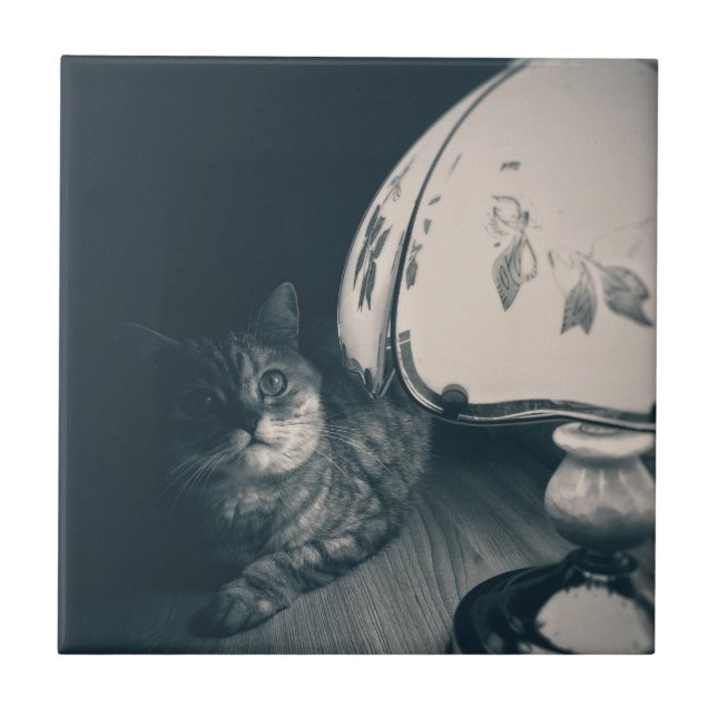 Fotografi av katt och lampa Noir Stil Kakelplatta (Framsidan)