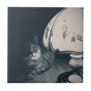 Fotografi av katt och lampa Noir Stil Kakelplatta