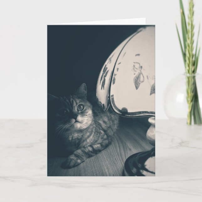 Fotografi av katt och lampa Noir Stil Kort (Framsida)