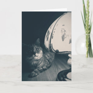 Fotografi av katt och lampa Noir Stil Kort