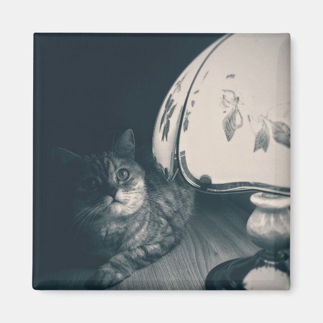 Fotografi av katt och lampa Noir Stil Magnet (Framsidan)