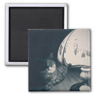 Fotografi av katt och lampa Noir Stil Magnet