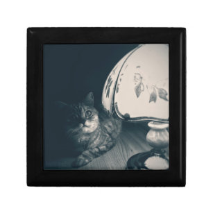 Fotografi av katt och lampa Noir Stil Minnesask