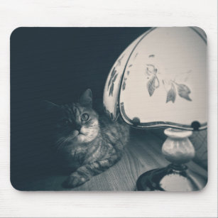 Fotografi av katt och lampa Noir Stil Musmatta