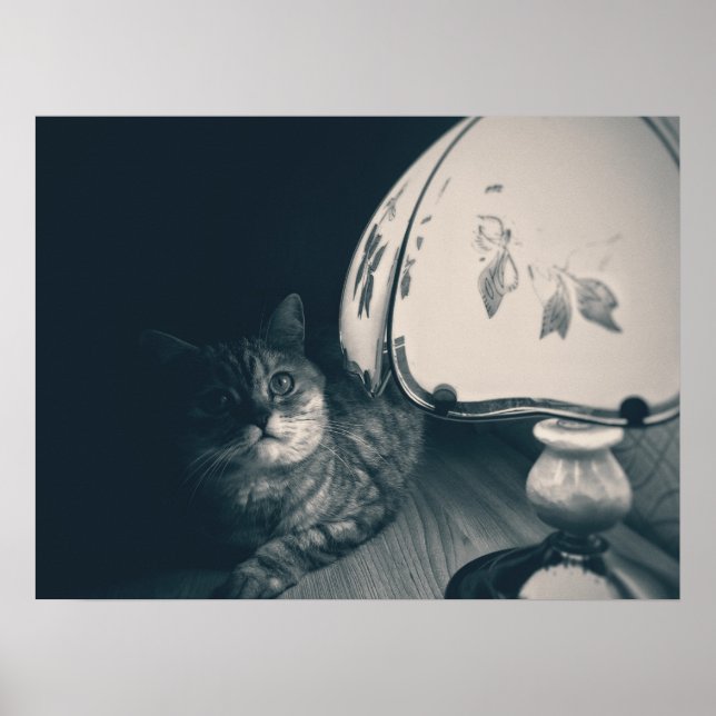 Fotografi av katt och lampa Noir Stil Poster (Framsidan)