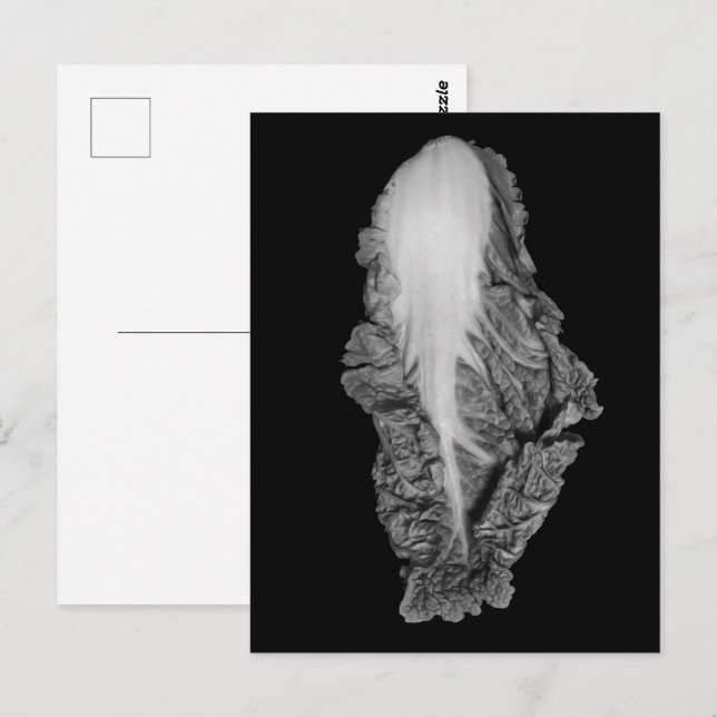 Fotografi av kinesisk kål Porträtt Vykort (Fram/baksida)