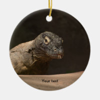 Fotografi av Komodo Monitor Dragon