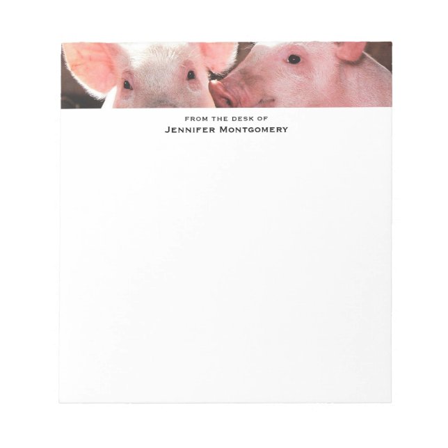 Fotografi av kute Rosa Piglets Animal Photographic Anteckningsblock (Framsida)