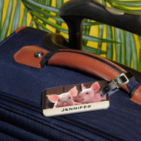 Fotografi av kute Rosa Piglets Animal Photographic