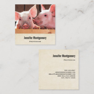 Fotografi av kute Rosa Piglets Animal Photographic Fyrkantigt Visitkort