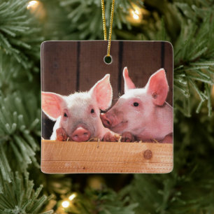 Fotografi av kute Rosa Piglets Animal Photographic Julgransprydnad Keramik