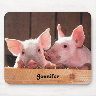 Fotografi av kute Rosa Piglets Animal Photographic Musmatta