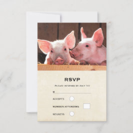 Fotografi av kute Rosa Piglets Animal Photographic OSA Kort