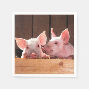 Fotografi av kute Rosa Piglets Animal Photographic Pappersservett