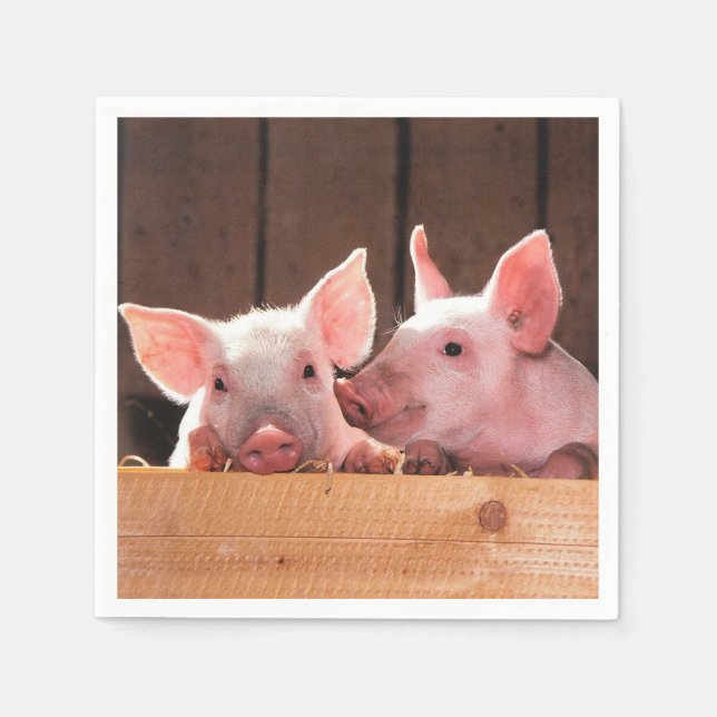 Fotografi av kute Rosa Piglets Animal Photographic Pappersservett (Framsidan)