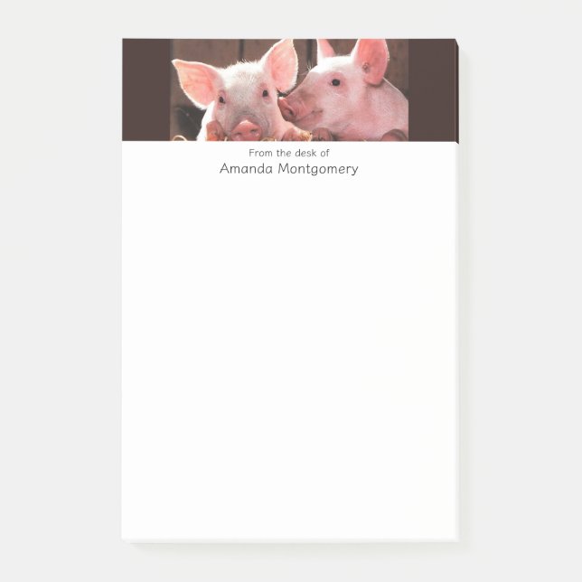 Fotografi av kute Rosa Piglets Animal Photographic Post-it Block (Framsida)