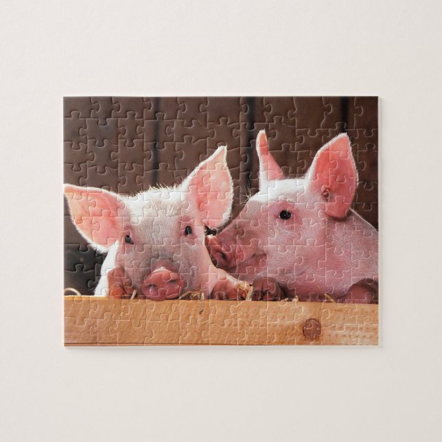 Fotografi av kute Rosa Piglets Animal Photographic Pussel (Horisontell)