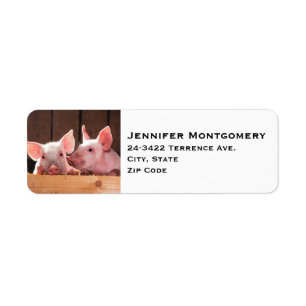 Fotografi av kute Rosa Piglets Animal Photographic Returadress Etikett