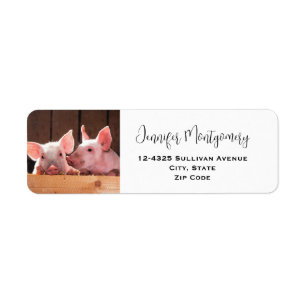 Fotografi av kute Rosa Piglets Animal Photographic Returadress Etikett