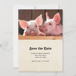 Fotografi av kute Rosa Piglets Animal Photographic Spara Datumet