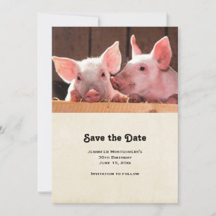 Fotografi av kute Rosa Piglets Animal Photographic Spara Datumet