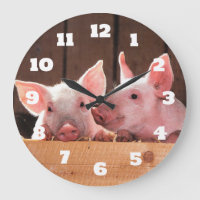 Fotografi av kute Rosa Piglets Animal Photographic