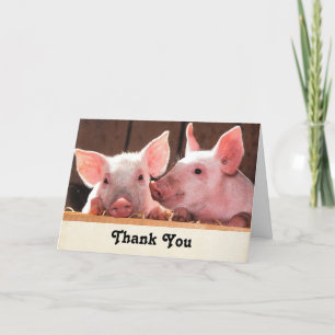 Fotografi av kute Rosa Piglets Animal Photographic Tack Kort