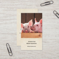 Fotografi av kute Rosa Piglets Animal Photographic