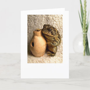 Fotografi av leksaksgrodor med miniatyr kort