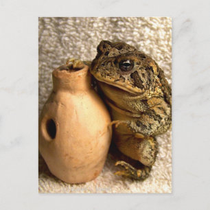 Fotografi av leksaksgrodor med miniatyr vykort