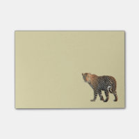Fotografi av leopard Vild katt