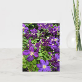 Fotografi av lila Clematis Flowers and Lövs Kort