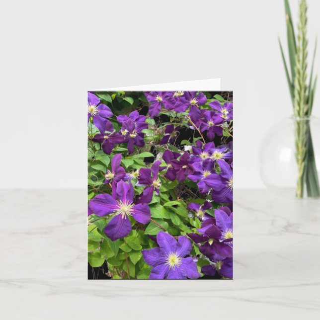 Fotografi av lila Clematis Flowers and Lövs Kort (Framsida)