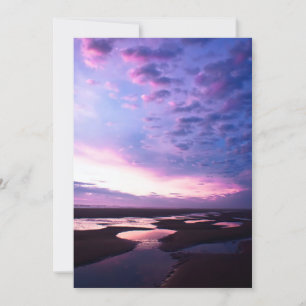 Fotografi av Lila i havet