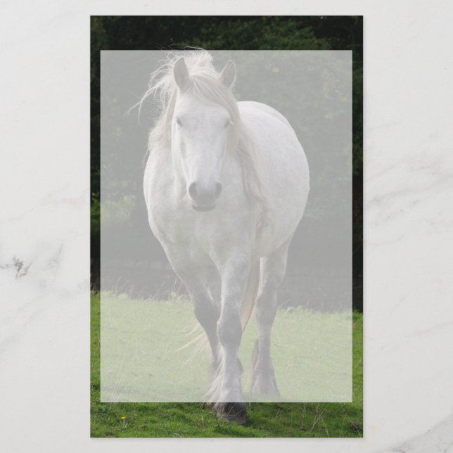 Fotografi av ljusdamm brevpapper (Framsida)