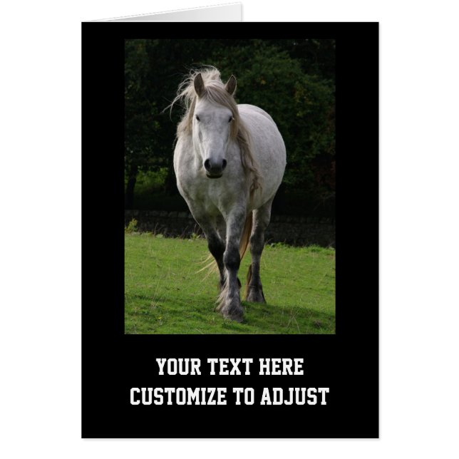 Fotografi av ljusdamm OBS kort (Framsidan)