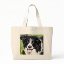 Fotografi av lycklig hund