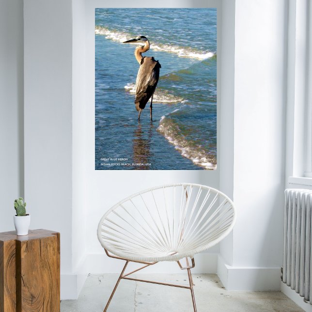 Fotografi av majestic Heron Bird Beach Blue Vågar Poster (Skapare uppladdad)