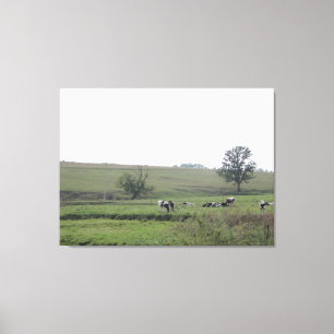 Fotografi av mjölkkor i mitten av västra Farm Canvastryck