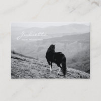 Fotografi av modern Script Black White Horse Equin