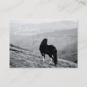 Fotografi av modern Script Black White Horse Equin Visitkort