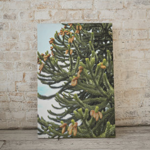 Fotografi av Monkey Puzzle Träd Canvastryck