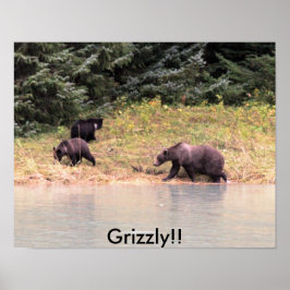 Fotografi av Mor Grizzly och 2 unge Poster